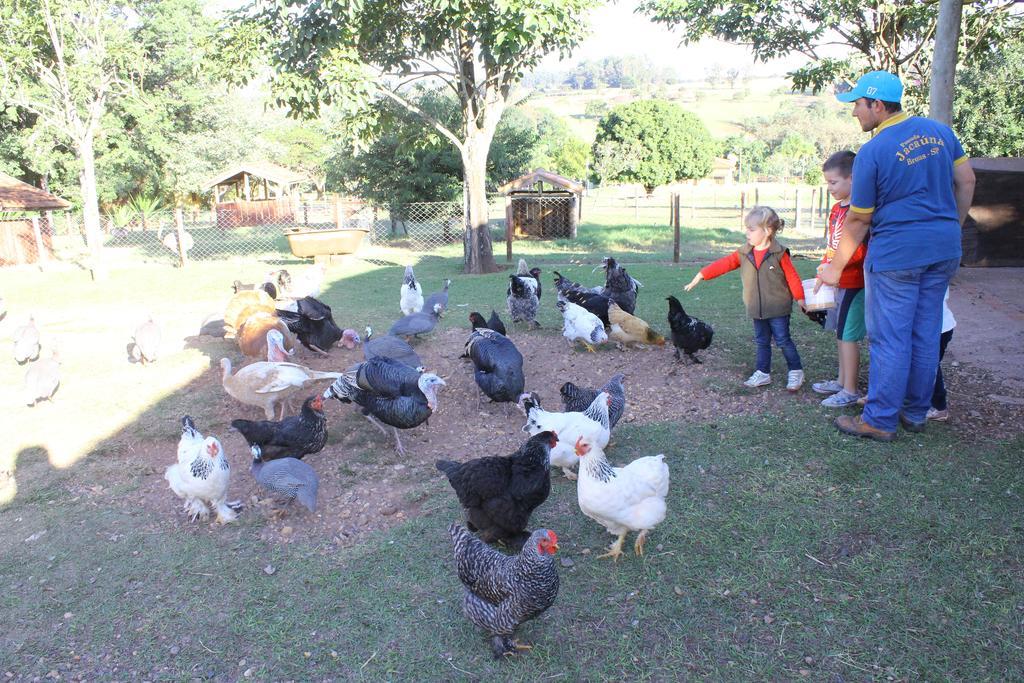 Hotel Fazenda Jacauna ブロタス エクステリア 写真