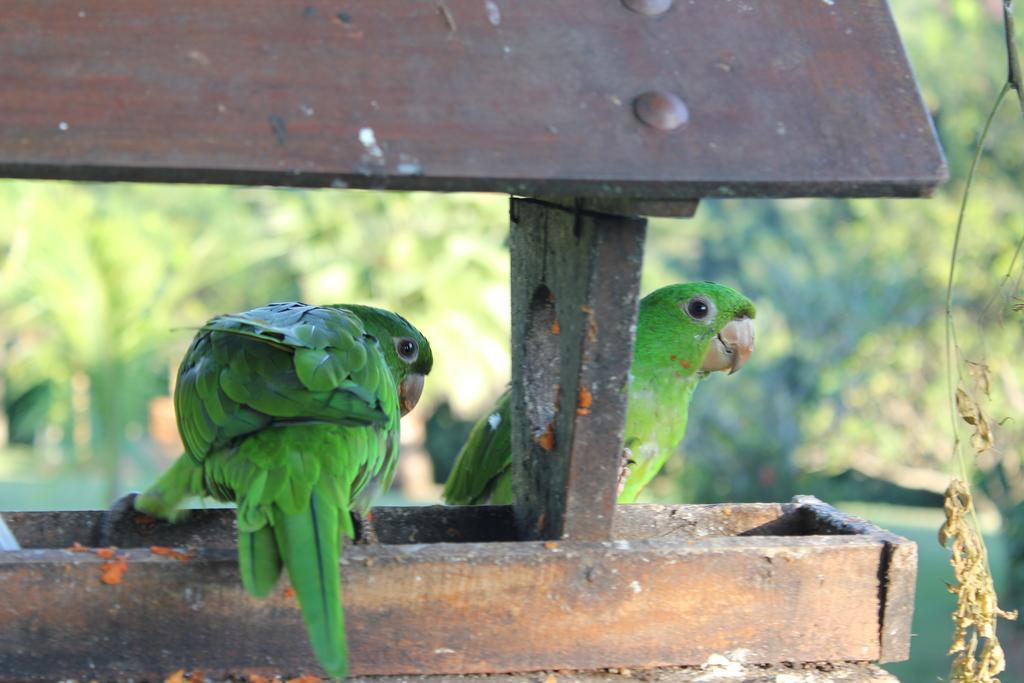 Hotel Fazenda Jacauna ブロタス エクステリア 写真