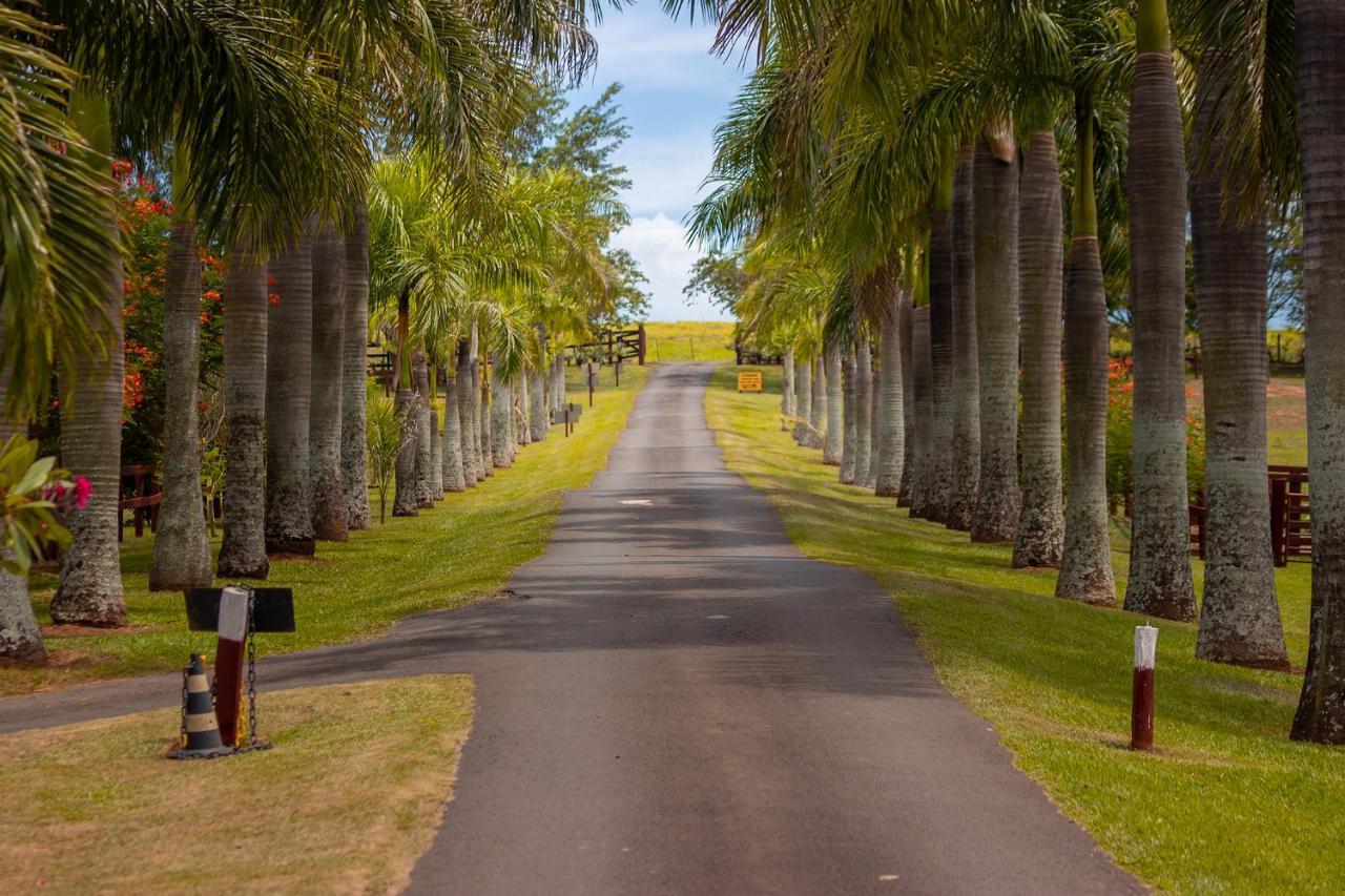 Hotel Fazenda Jacauna ブロタス エクステリア 写真