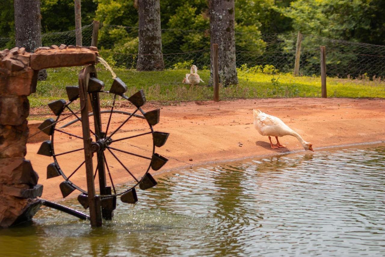 Hotel Fazenda Jacauna ブロタス エクステリア 写真