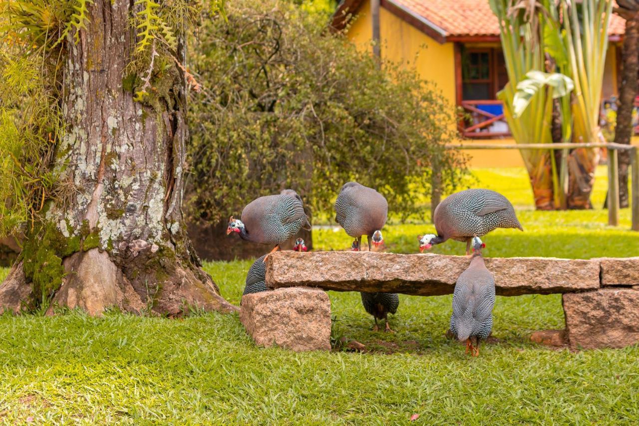 Hotel Fazenda Jacauna ブロタス エクステリア 写真